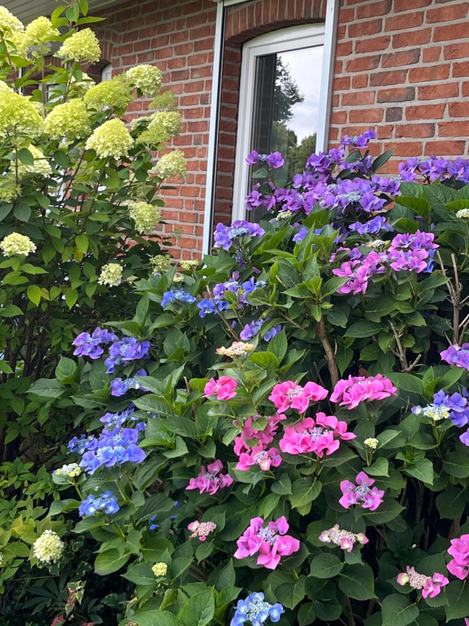 Gartenzimmer Zwischen Den Meeren Ladelund Экстерьер фото